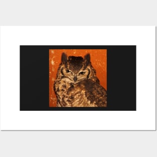 Giant Eagle Owl, Arusha, Tanzania, East Africa Posters and Art